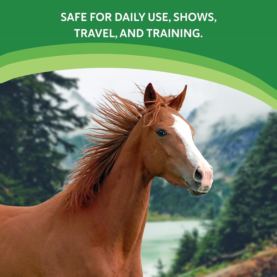 Equine Calming Supplement for Mares, Supports Balanced Behavior
