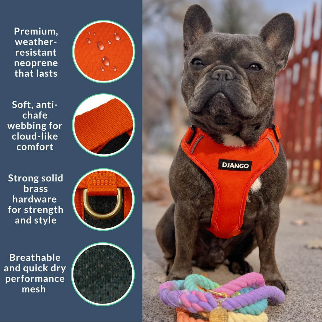 DJANGO Adventure Dog Harness - Padded & Adjustable