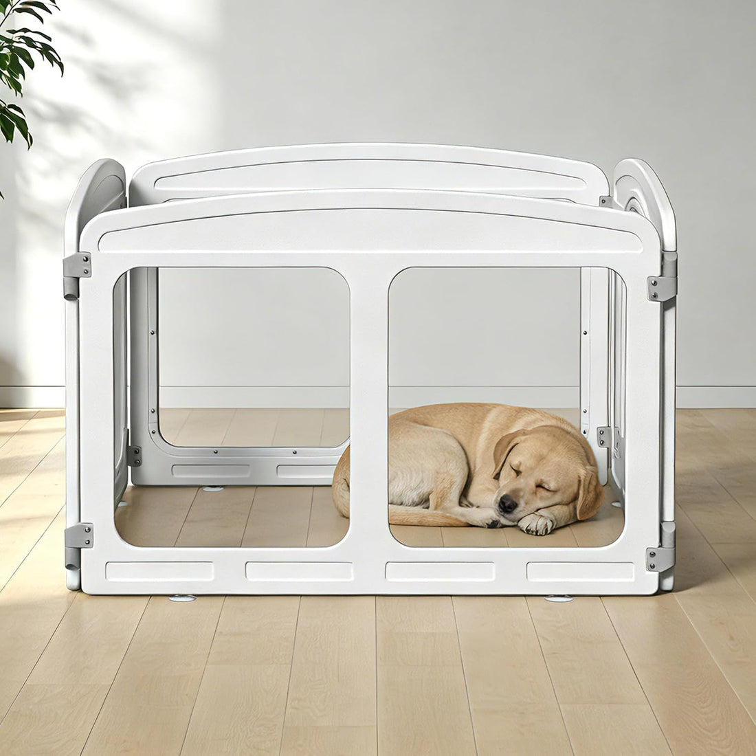 Clear Puppy Playpen Indoor - Ideal for Small & Toy Dogs