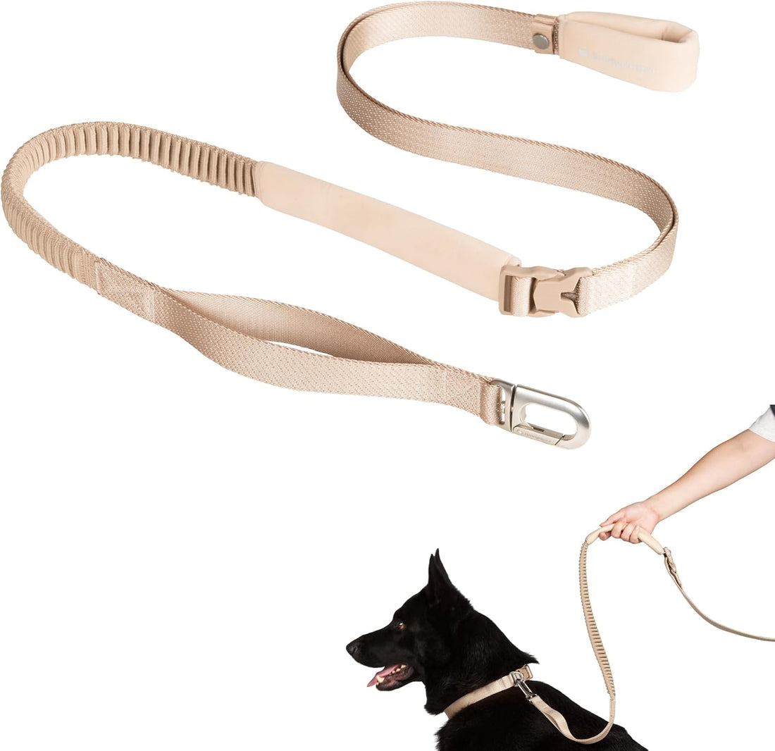 Hands Free Dog Leash Adjustable Versatile Crossbody Waist, Black