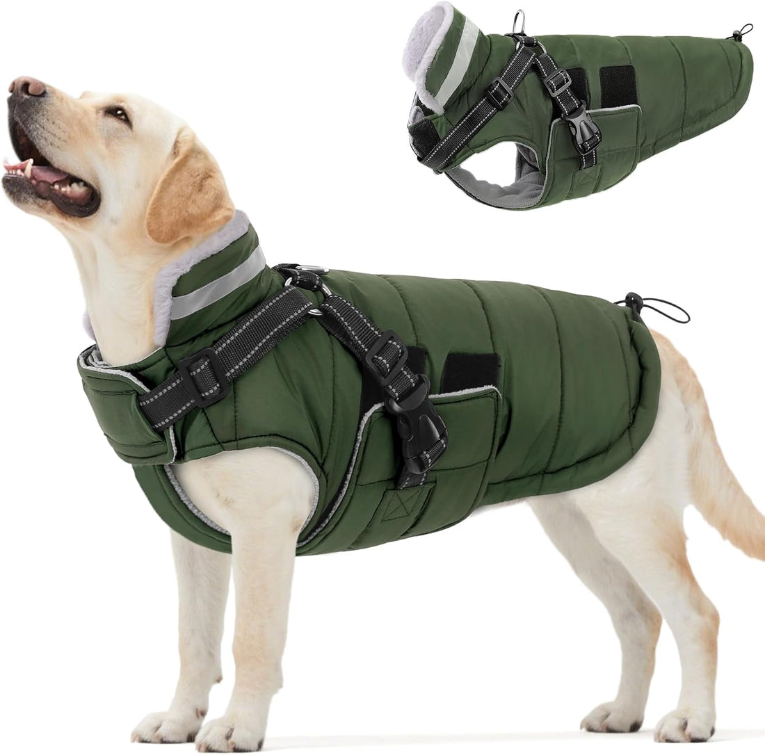 Queenmore Winter Dog Jackets for Medium Dogs with Harness Built-in
