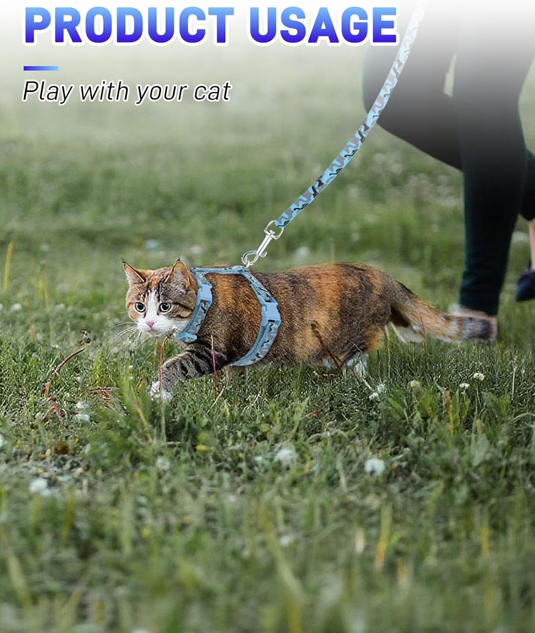 3 Pack Cat Leash and Harness Set