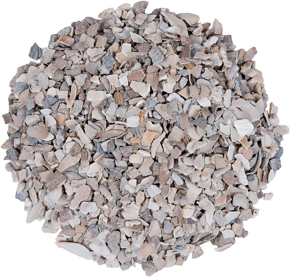 Small Pet Select Flaked Oyster and Seashell Mix
