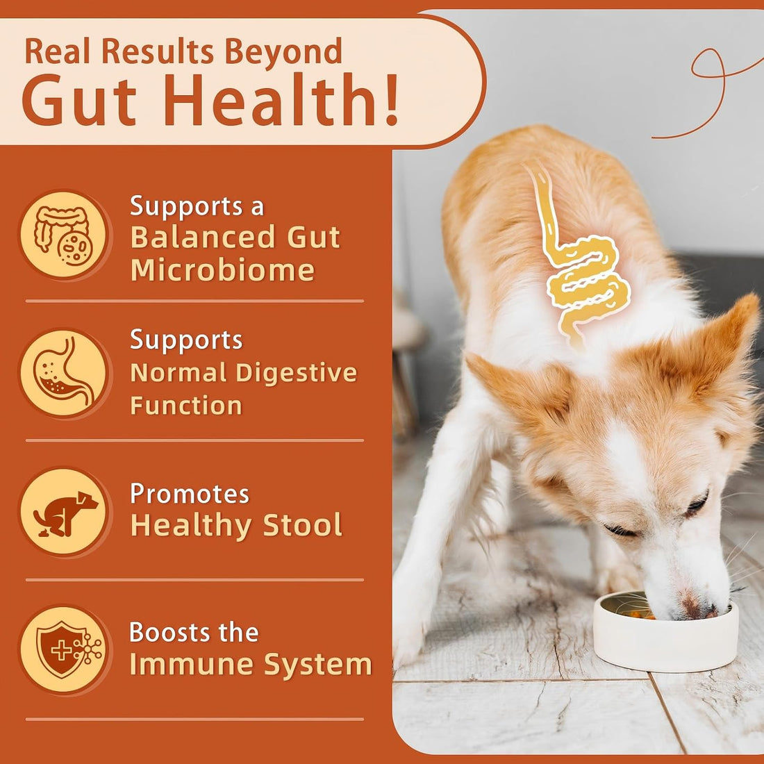 ZEBORA Probiotics for Dogs, Digestive Health, Pumpkin, 120 Soft Chews