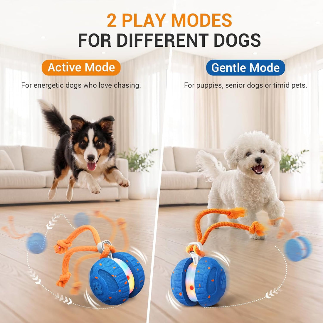 Pamlulu Interactive Dog Toy for Small & Medium Dogs