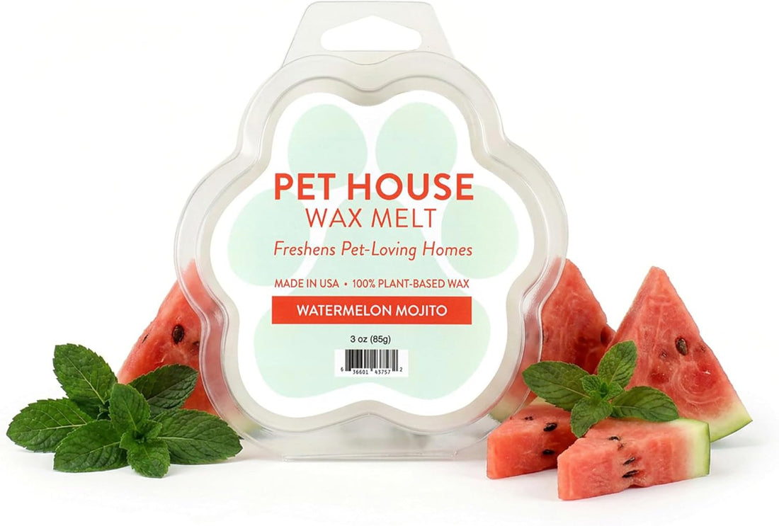 Watermelon Mojito Spring and Summer Wax Melts Plant-Based Wax