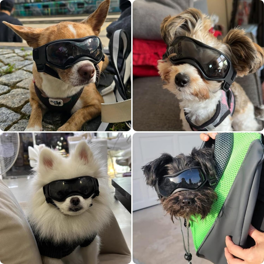 Dog Goggles for Small Breed, Anti-UV Windproof Extra Small Dog
