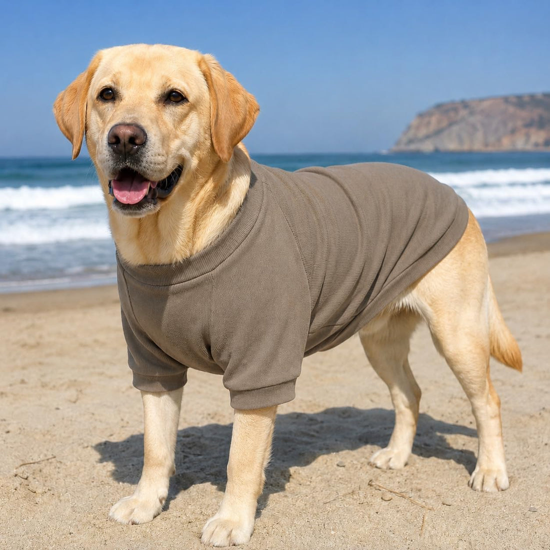 Lovelonglong Ribbed Dog T-Shirt Cotton Knitted Dog Sweaters for All