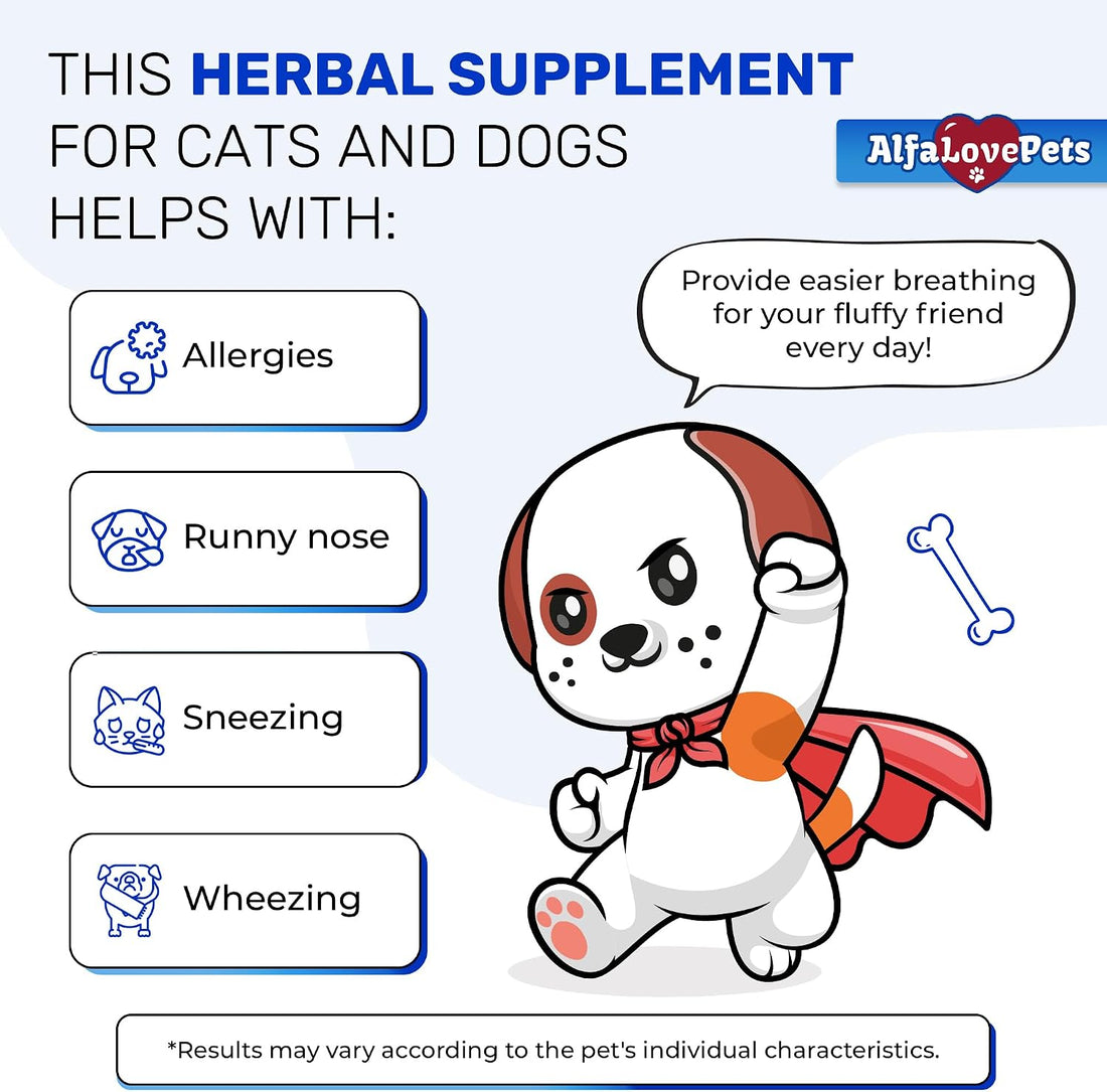 Dry & Wet Kennel Cough Medicine for Dogs and Cats