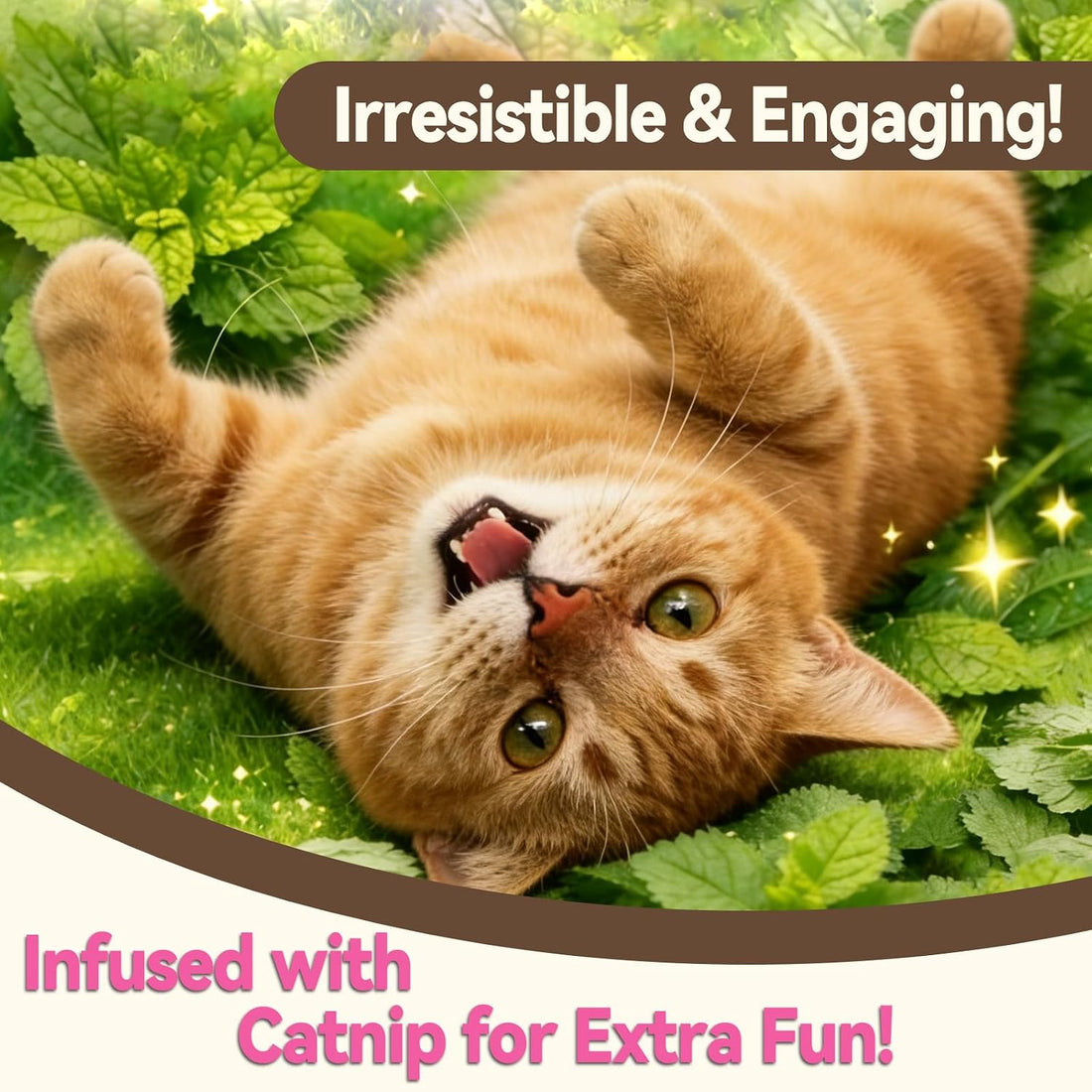 Puddonio Catnip Cat Treats, Chicken & Salmon Flavor Crunchy Cat