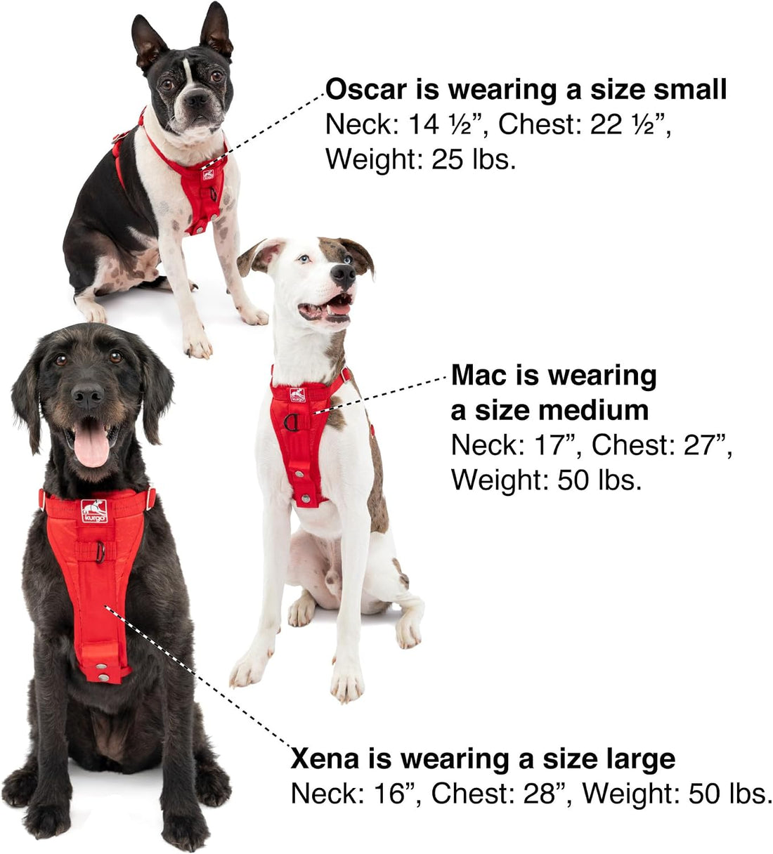 Kurgo Tru-Fit Enhanced Strength Dog Car Harness