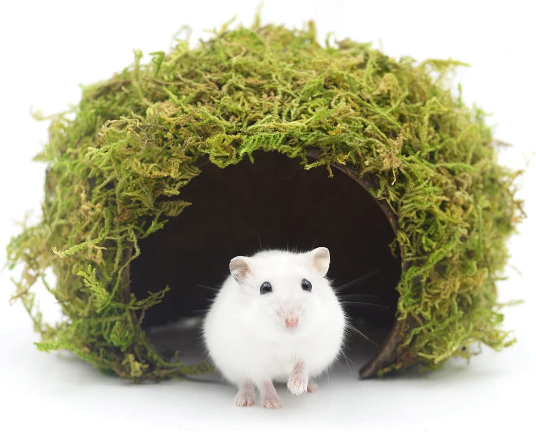 Hamster Hideout - Large, Natural Moss, Handcrafted for Syrian Hamsters