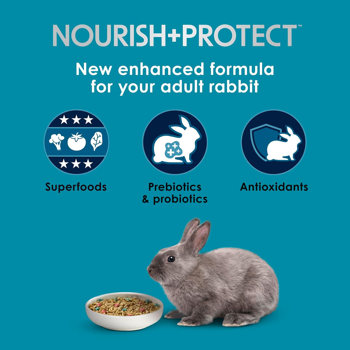 Kaytee Forti-Diet Pro Health Nourish+Protect Adult Rabbit Food, 5 lb