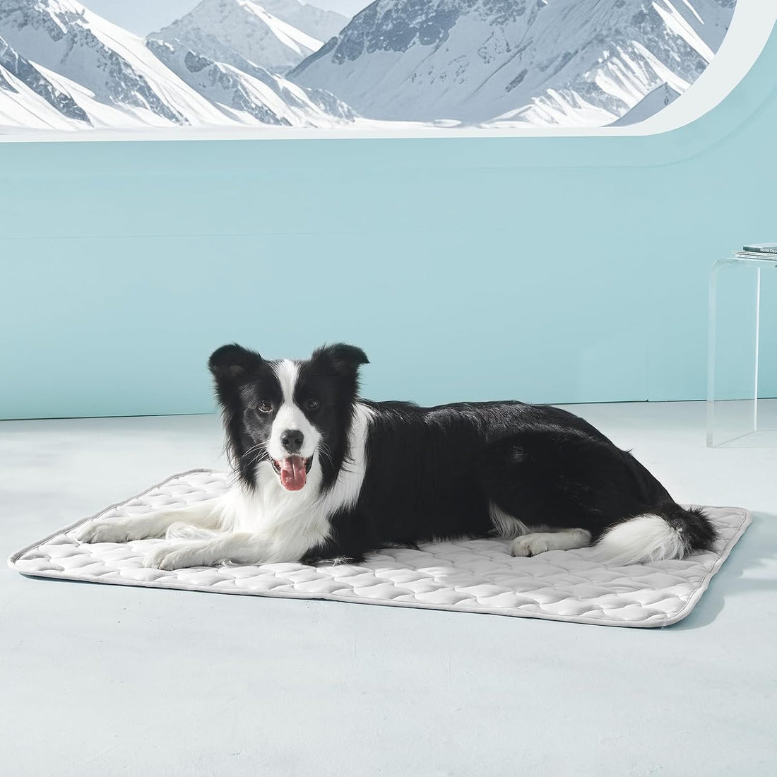 GASUR Cooling Mat for Large Dogs
