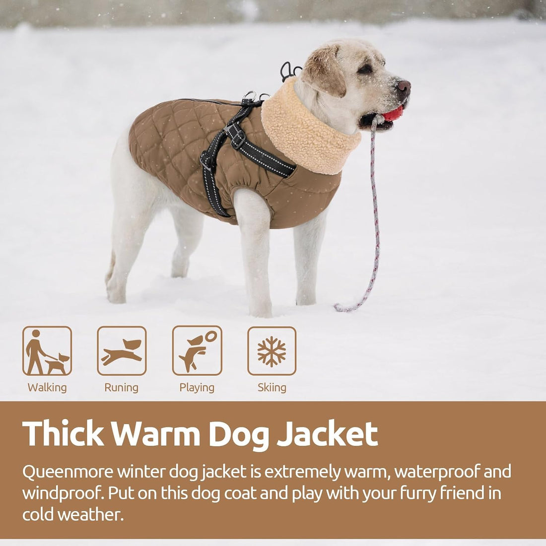 Queenmore Dog Jackets for Medium Dogs, Dog Coat with Harness Built in