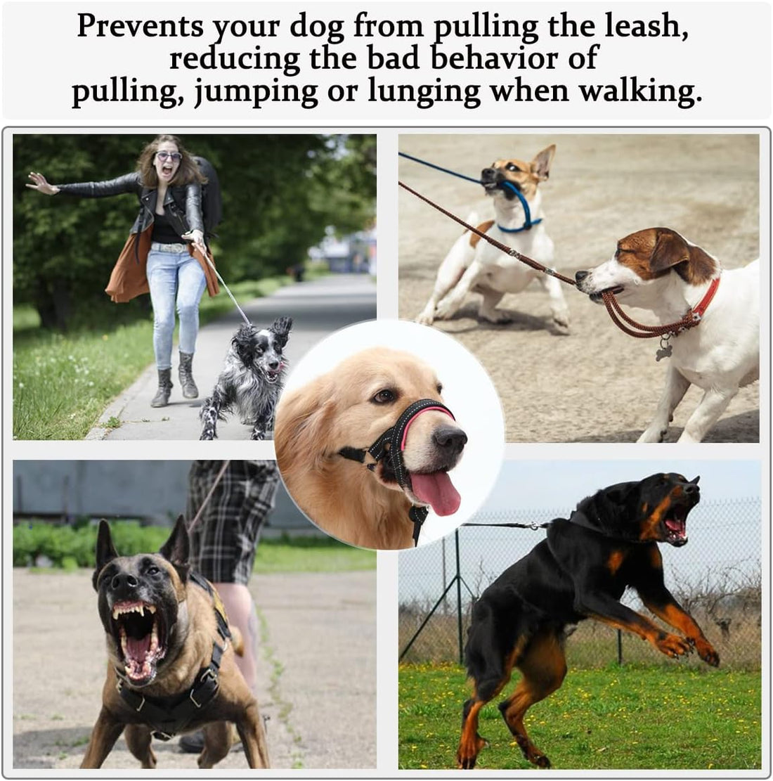 BARKLESS Dog Head Collar, No Pull Training Collar with Soft Padding