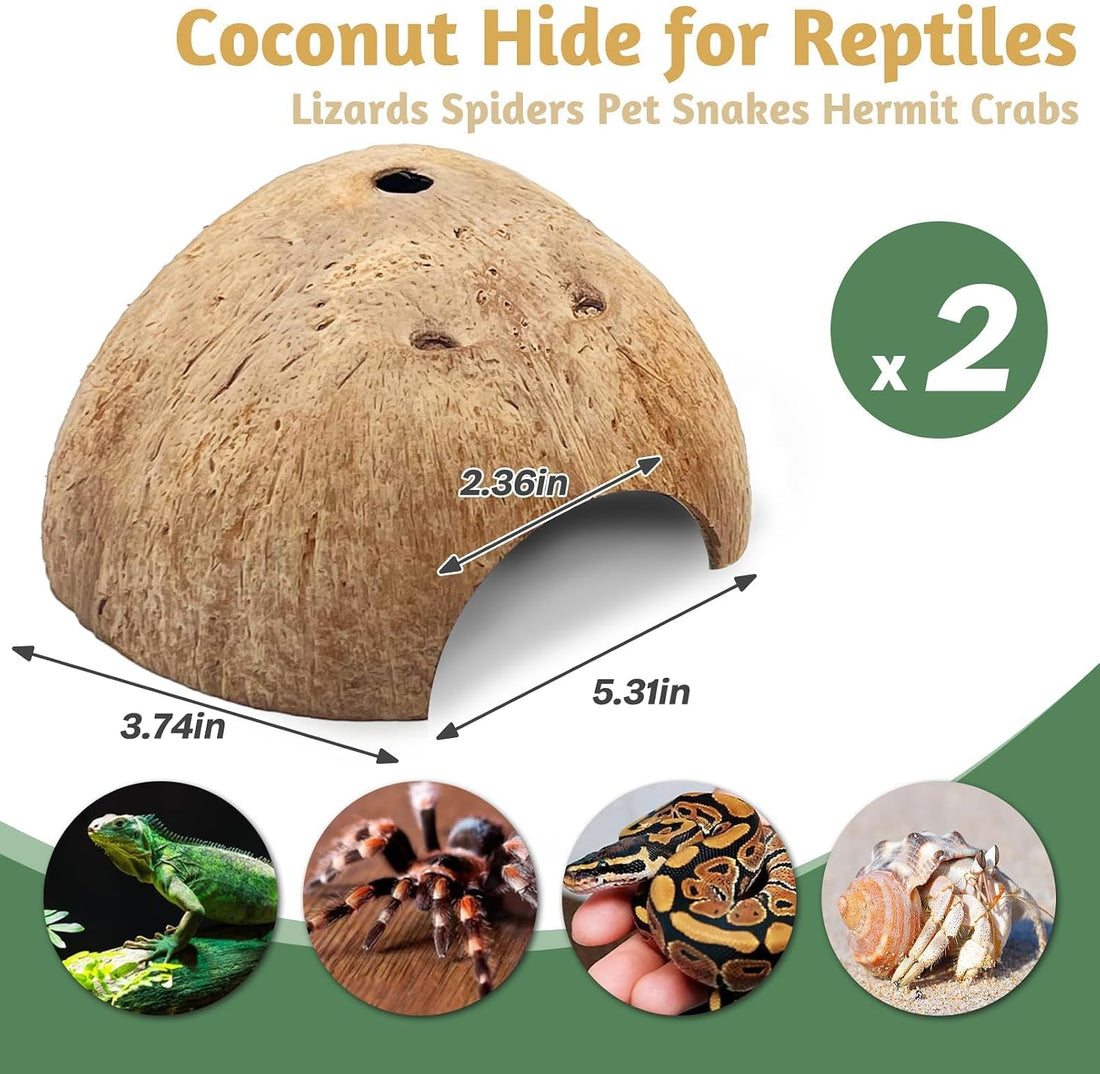 PINVNBY 2 PCS Natural Coconut Reptile Hideouts Lizard Coco Hut Hermit