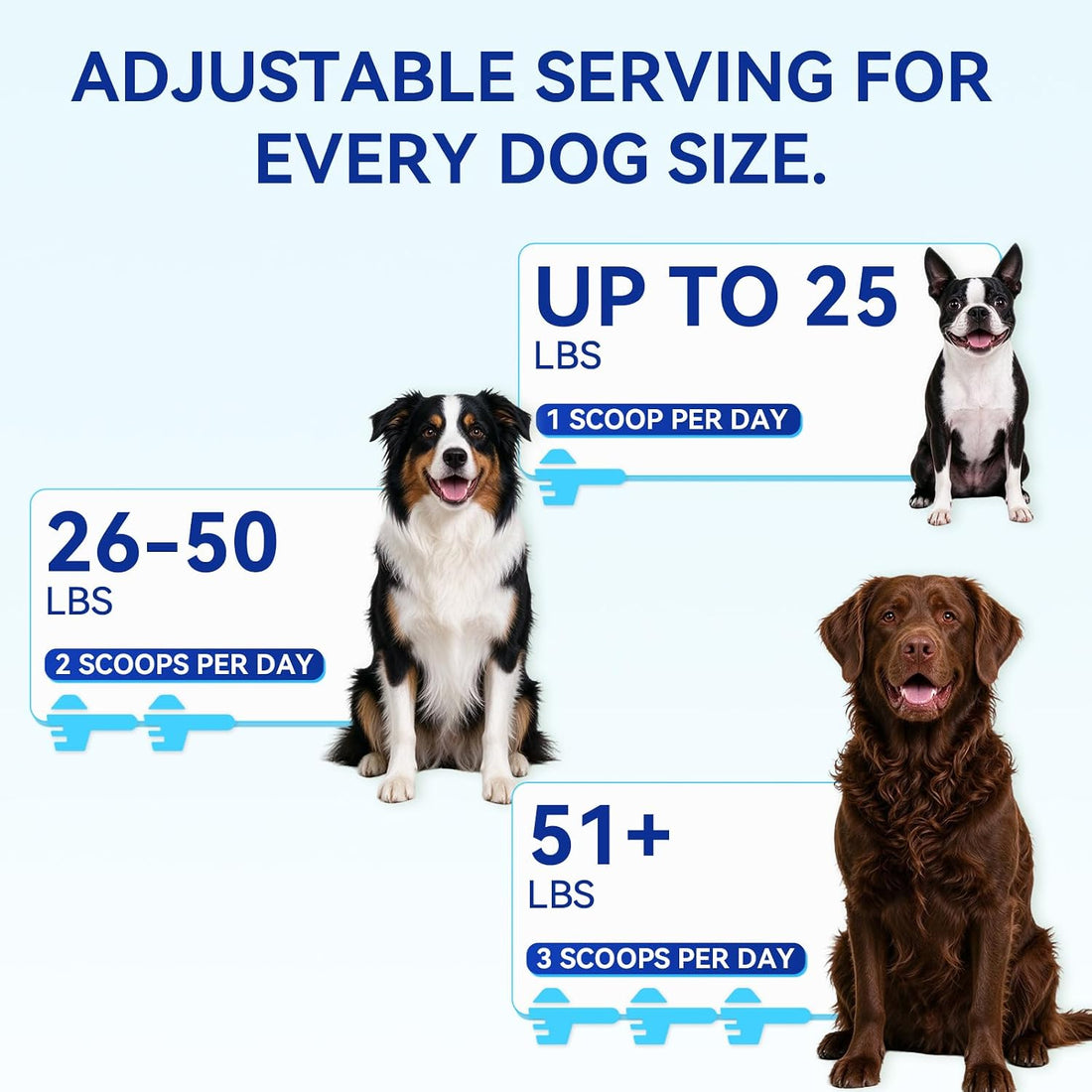 NAD+ for Senior Dogs Longevity Powder with CoQ10 + NR 150mg + NMN 75mg