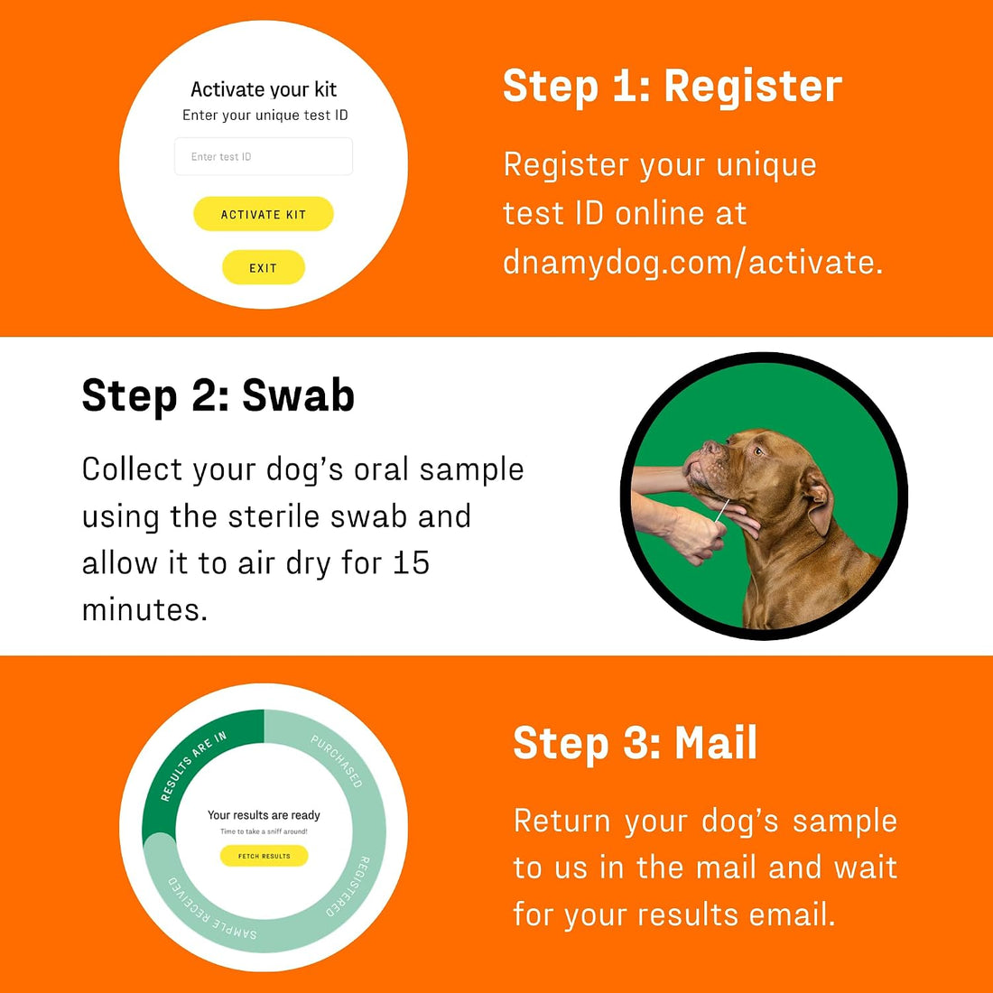 DNA My Dog Premium Dog DNA Test – Identify 350+ Breeds