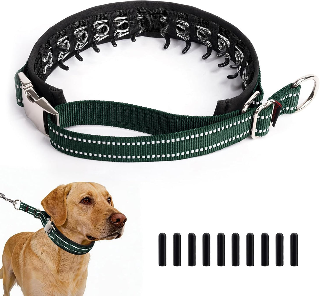 Hidden Prong Collar, Adjustable Martingale Design, M