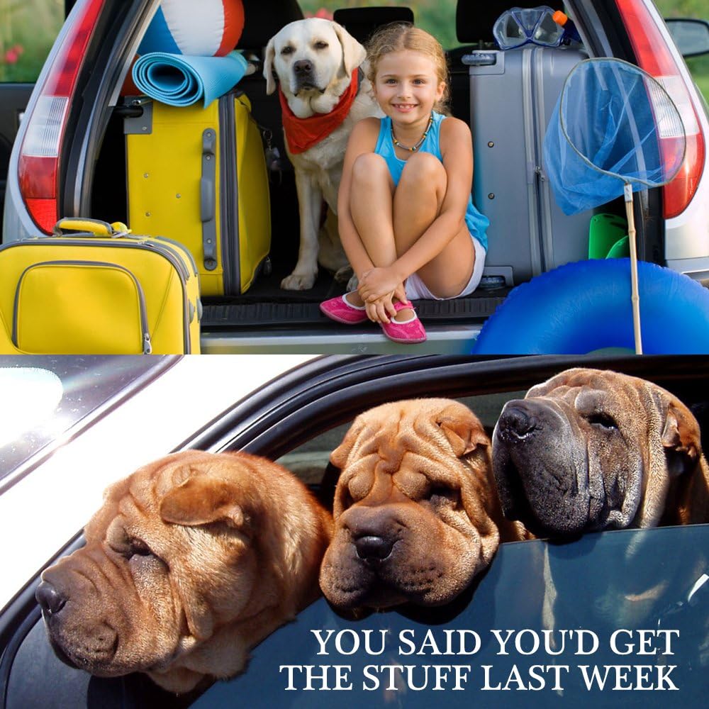 YuCool Dog Seat Belt,4 Piece Set Dog Car Adjustable Seatbelts