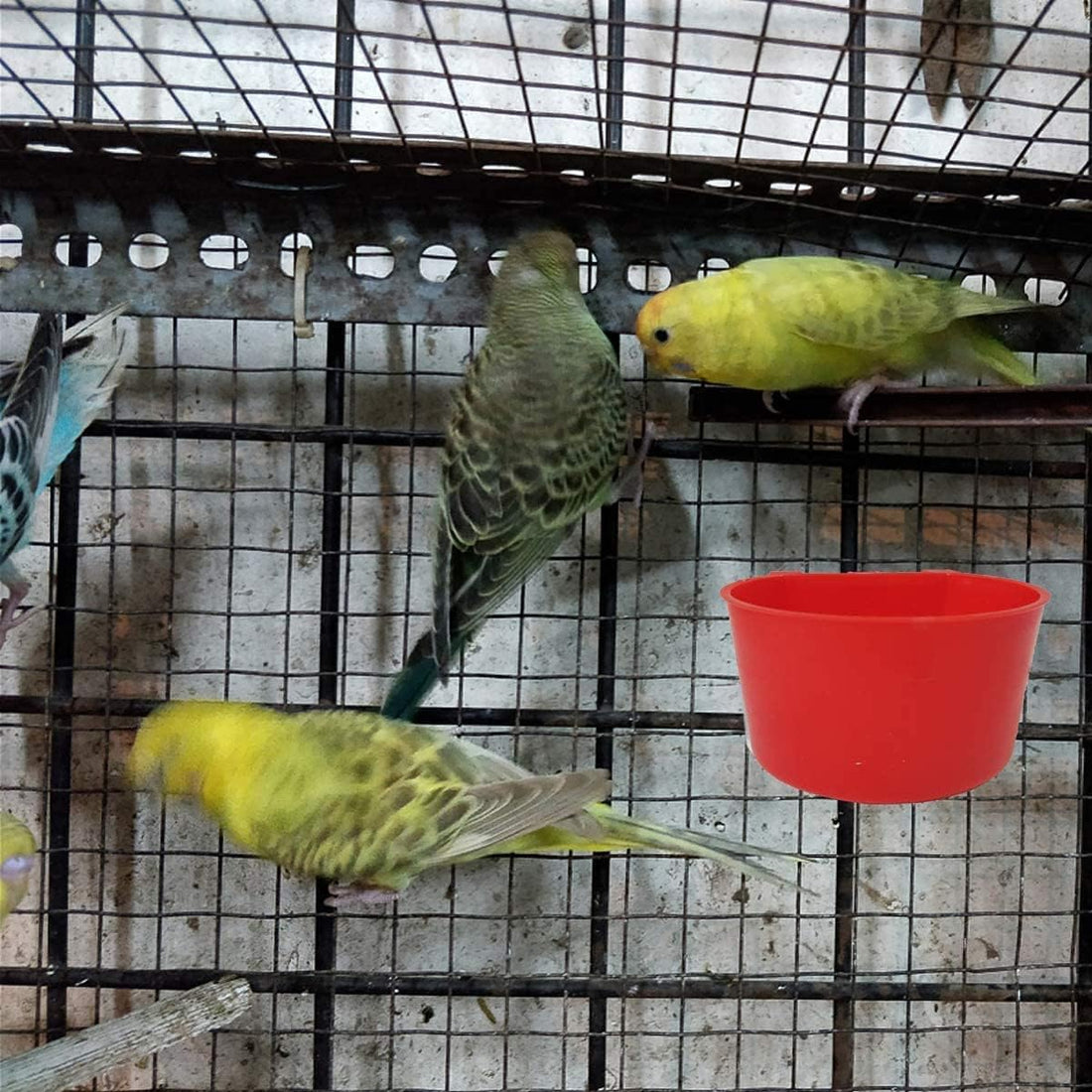 AMZSYLV 10 Pack Bird Cage Feeding Cups Chicken Seed Bowl Hanging