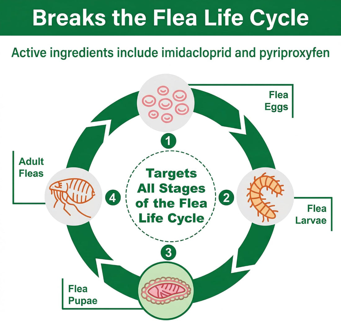 Topical Flea for Medium Cats 5-9 lbs, Fast Acting & Long-Lasting