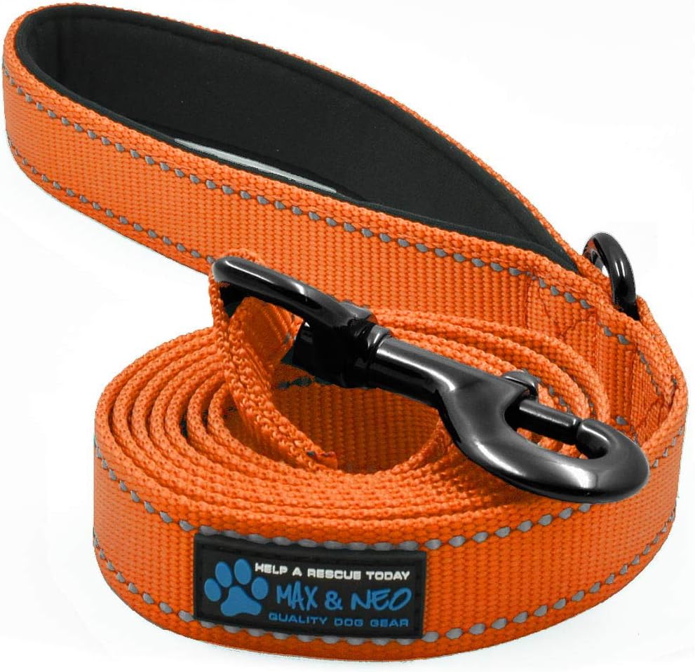 Max and Neo Reflective Nylon Dog Leash - We Donate One for Every Sold