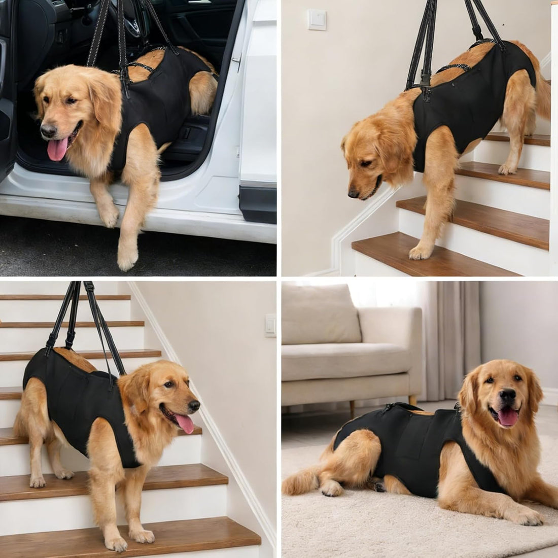 Dog Lift Harness with Pocket Full Body Adjustable Handle Sling,XL