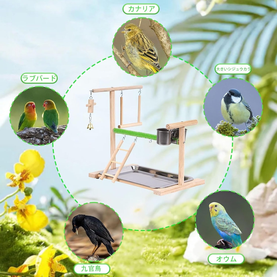 Bird Playground, Natural Wood Bird Perch Stand with Removable Tray