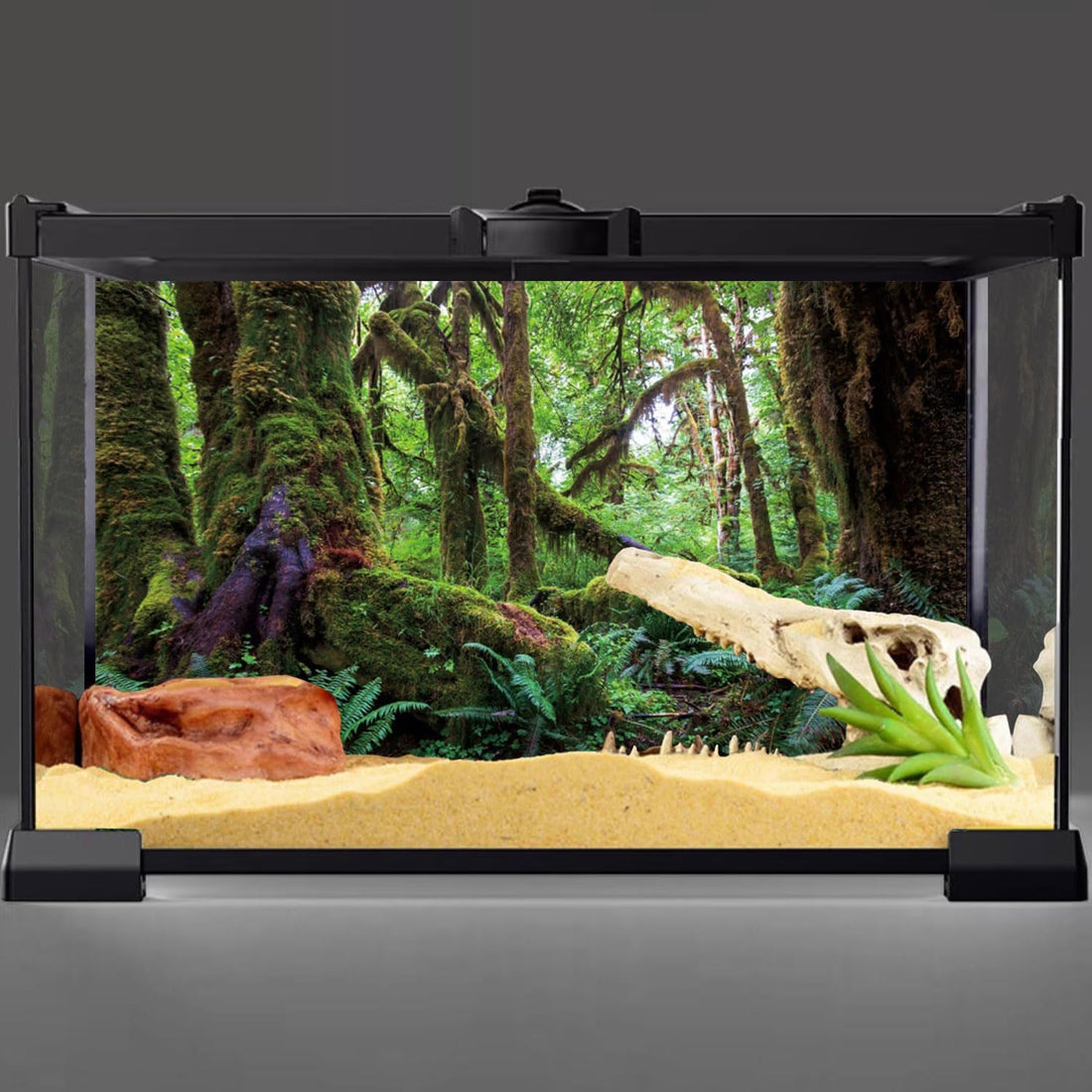 36x18 in Terrarium Backdrop Rainforest Moss Tree Reptile Habitat