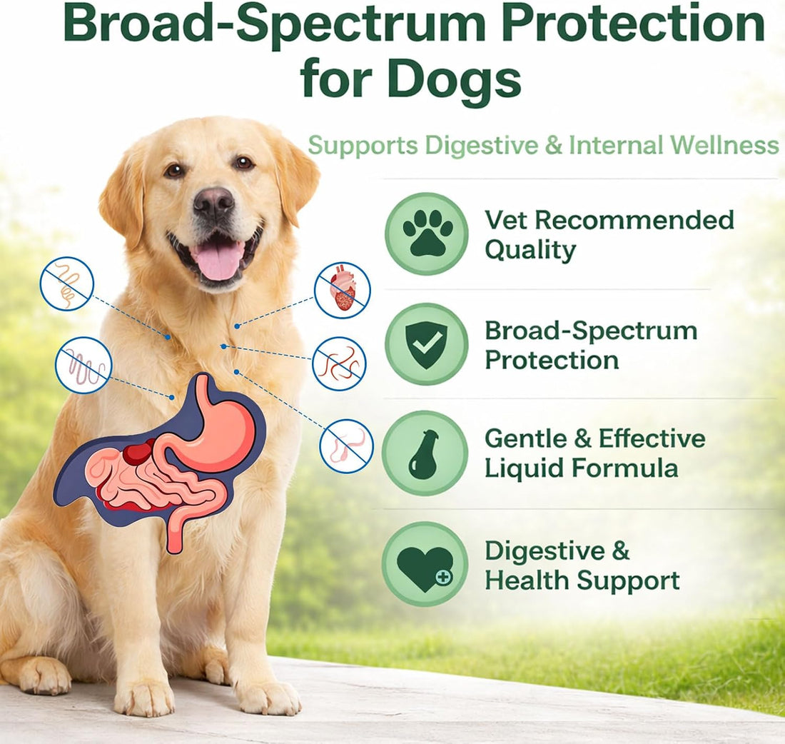 Dewormer for Dogs, Liquid Wormer for Hookworms, Lungworms, Pinworms