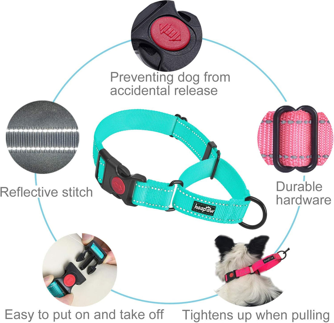 Haapaw Escape-Proof Martingale Dog Collar