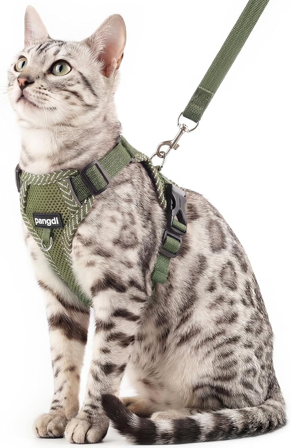 Cat Harness and Leash Set, Soft Mesh Cat Vest, Turquoise, XL
