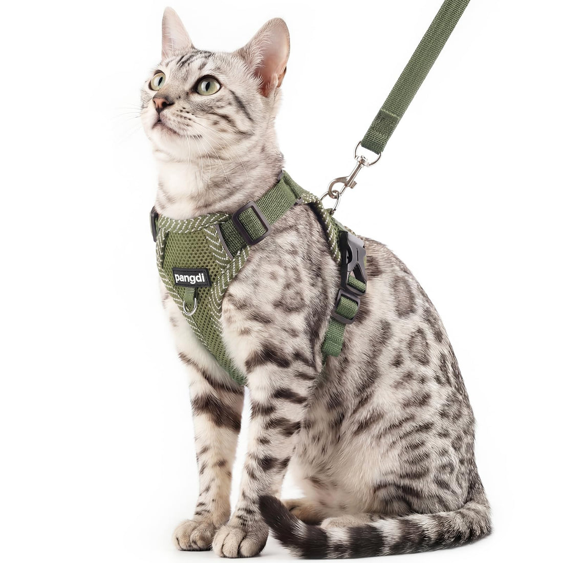pangdi Cat Harness and Leash Escape Proof Extra Large Kitten Harness