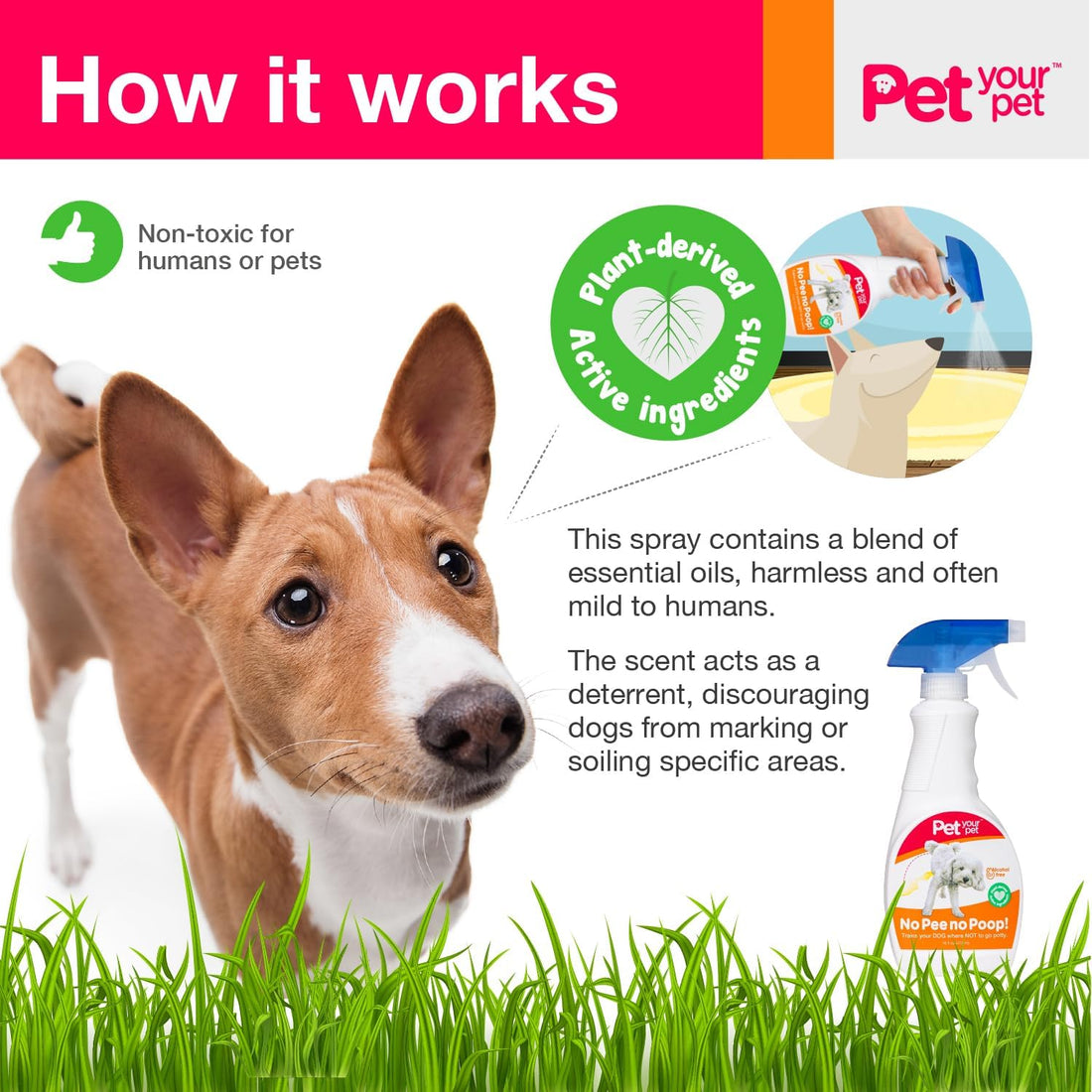 Dog Potty Training Spray No Pee No Poop, 16 Fl Oz