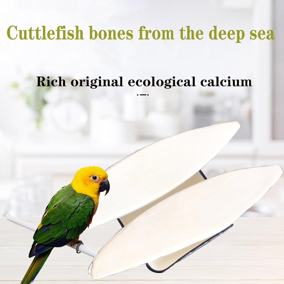 Clyairmao Bird Cuttlebone for Parakeets Cuttlebone for Birds