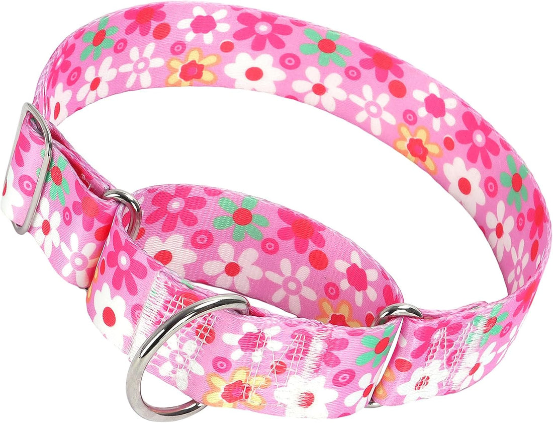1.5 inch Skulls Martingale Collar for Dogs,Training Collar for Large