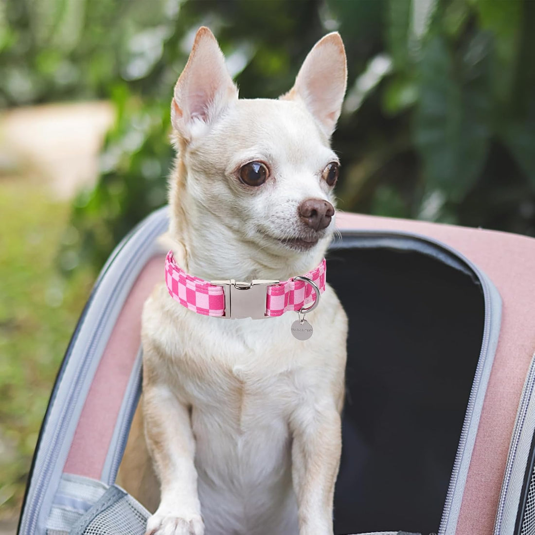 UP URARA PUP Dog Collar for Summer,Cute Pink Plaid Dog Collar,Cotton