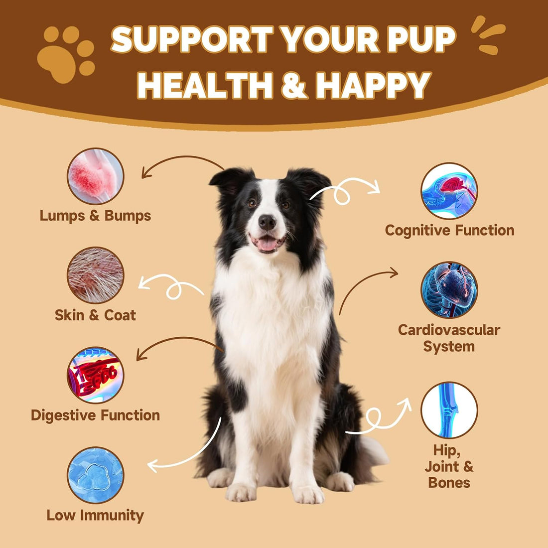 Mushrooms for Dogs - Turkey Tail Mushroom for Dogs - Gut, Skin, Joint