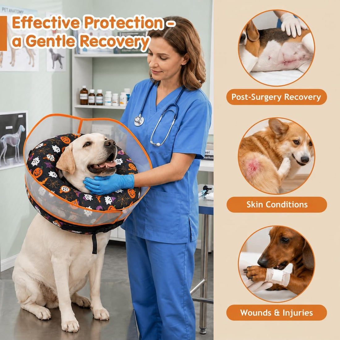 Avont 2-in-1 Dog Cone XL Halloween Shield