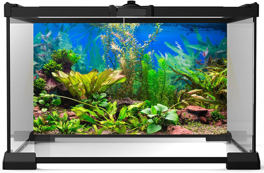 Aquarium Background Various Underwater Grass Plants Aquarium Backdrop