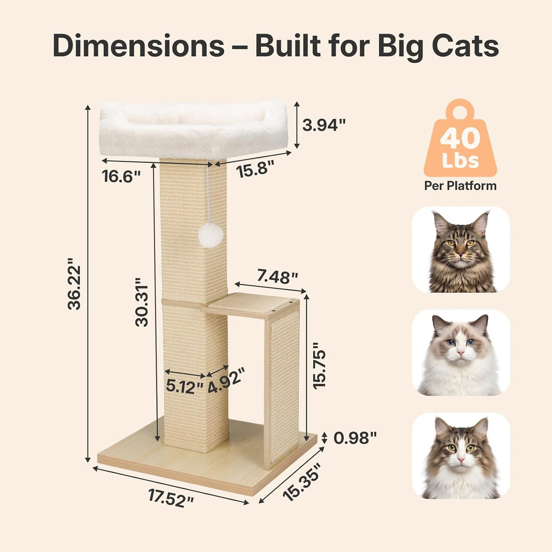 Veehoo Cat Window Perch with Scratching Posts