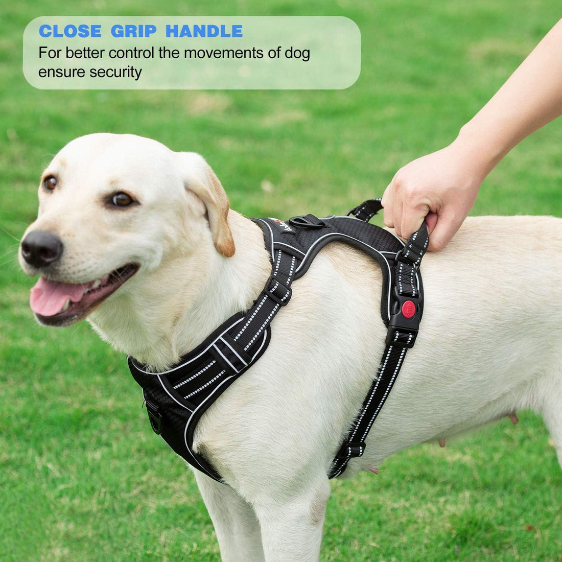 tobeDRI No Pull Dog Harness Adjustable Reflective Oxford Easy Control