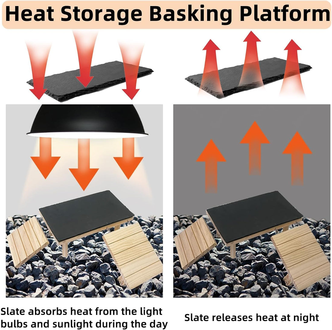 Bearded Dragon Basking Platform with Climbing Ramp & Reptile Rock