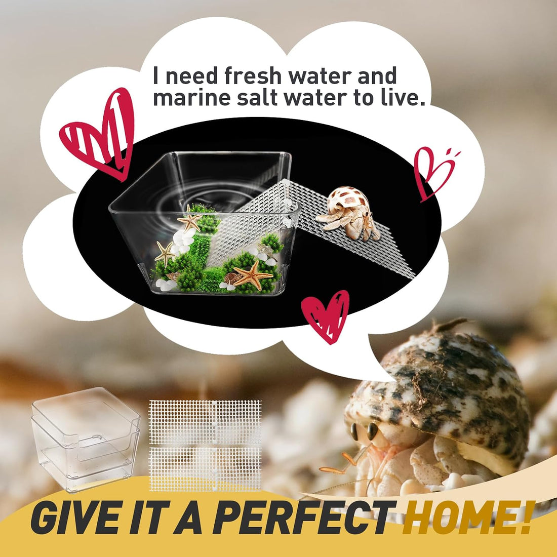 2 Packs Hermit Crab Pool - Ideal Hermit Crab Tank Combination