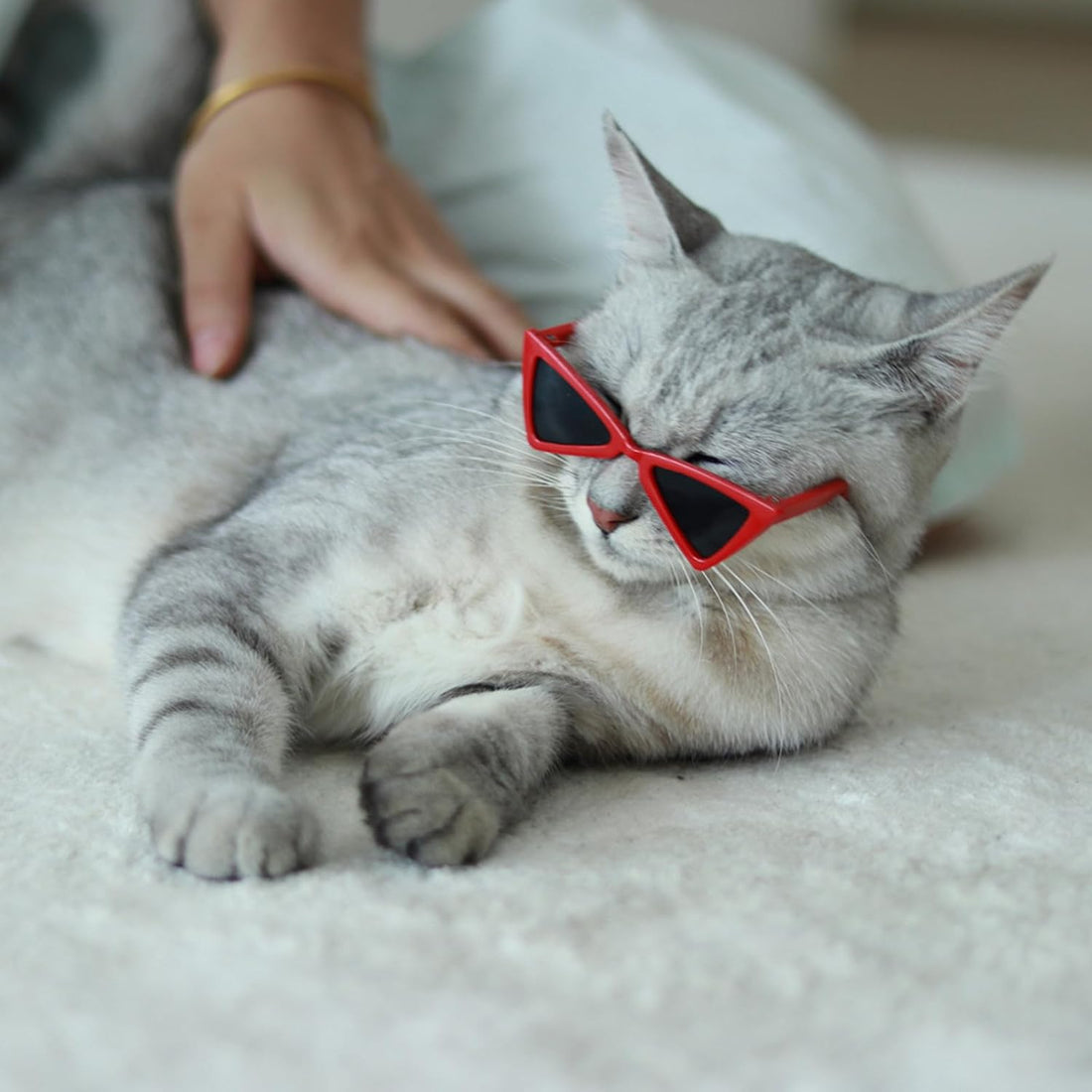 2 PCS Cat and Small Dog Sunglasses