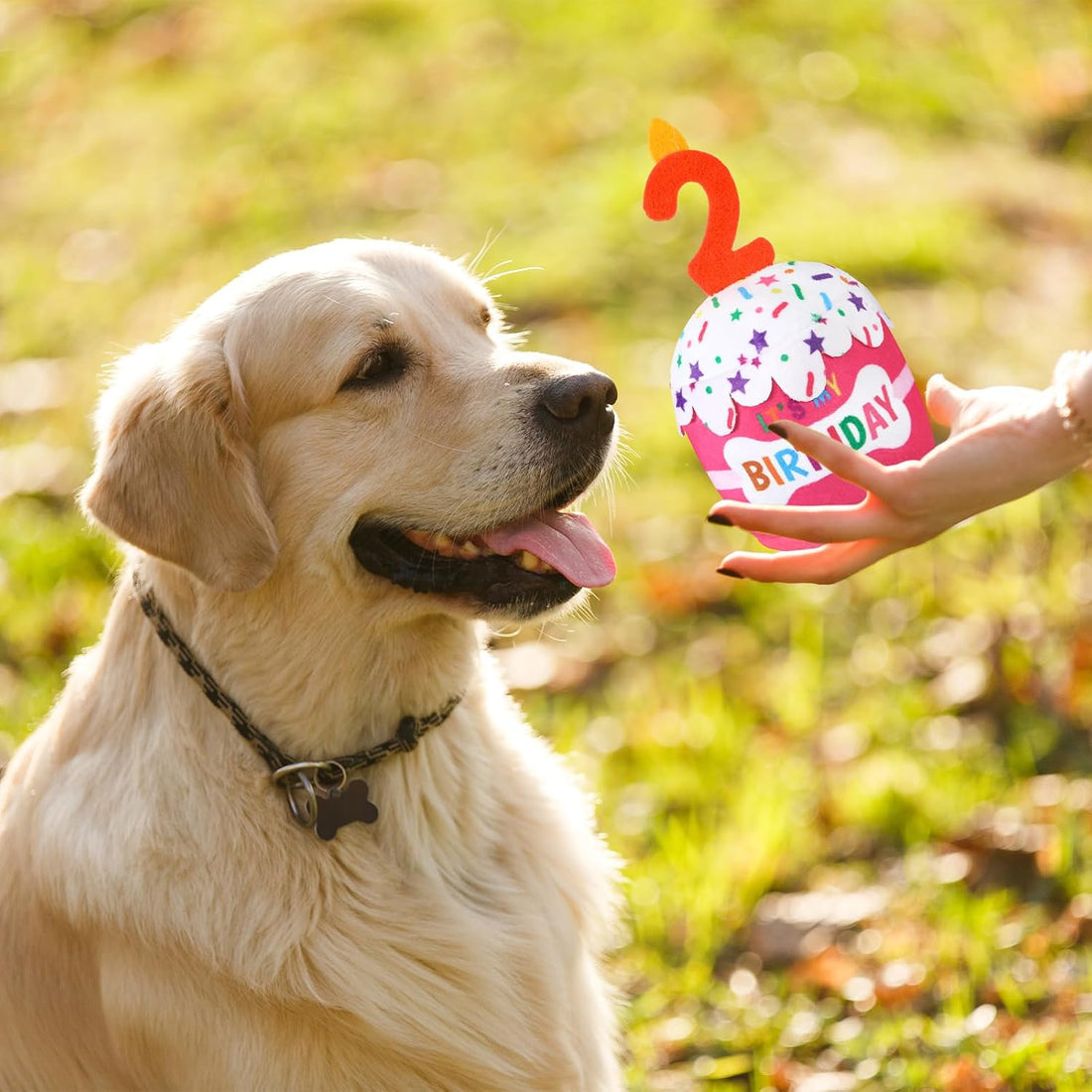Dansydaisy Dog Birthday Cake Toy Squeaky Plush Gift