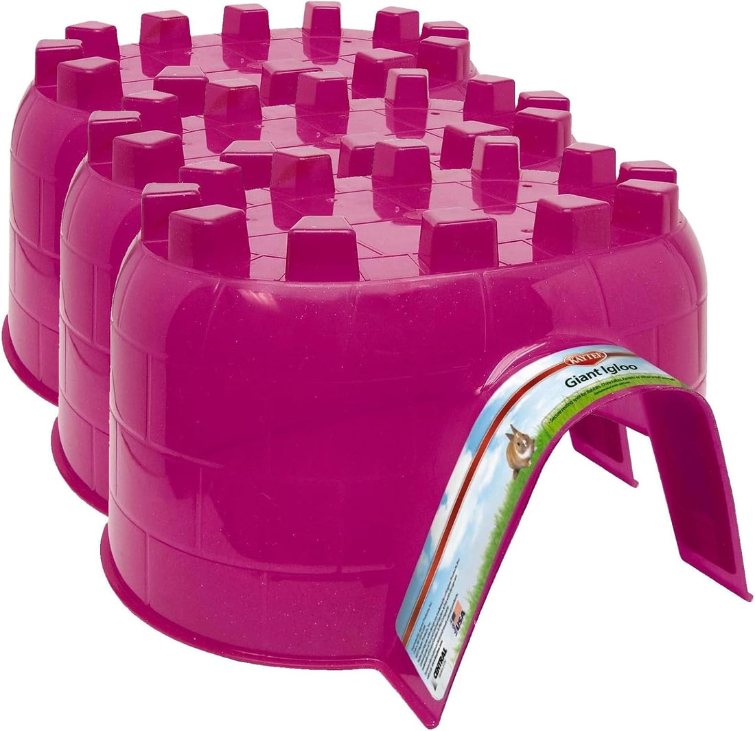 Kaytee Igloo Habitat Hideout for Hamster, Gerbil, Rat, Giant