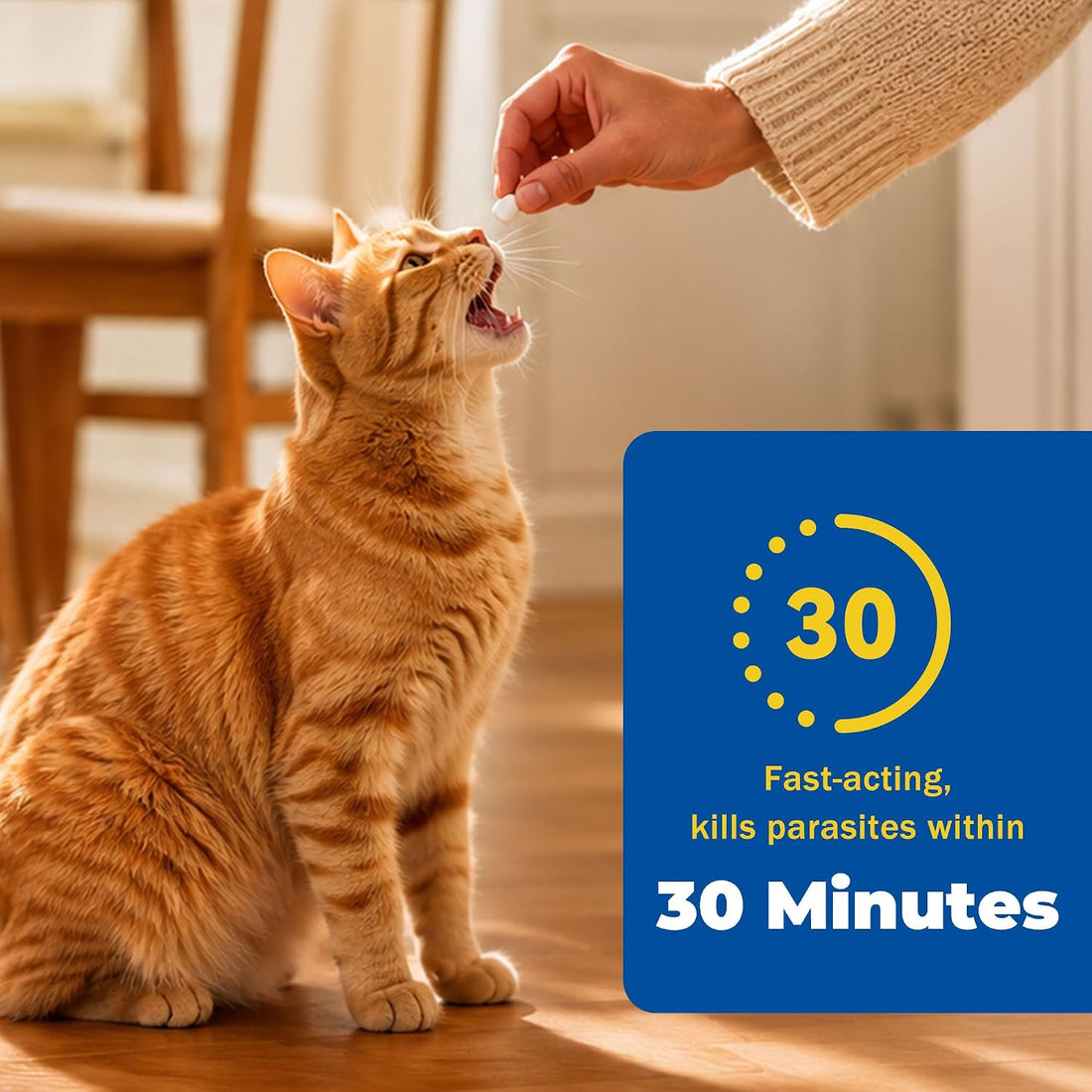 Broad-Spectrum Dewormer - Tablets for Cats & Dogs
